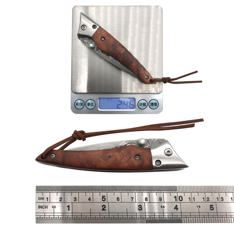 ALBATROSS HGDK008 EDC Cool Sapele Handle Damascus Folding Camping