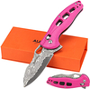 ALBATROSS Cool Flipper Axis Lock Opening Folding Pocket Knife with 3" Modern Damascus Steel Blade and 4.25" High Strength FRN Handle, Deep Carry Pocket Clip - Gifts Box FK036DA-PK