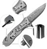 ALBATROSS FK003 Gray EDC Damascus Steel Tactical Folding Pocket Knife,SpeedSafe Spring Assisted Opening Knifes with Liner Lock,Pocketclip,Glass Breaker,Seatbelt Cutter