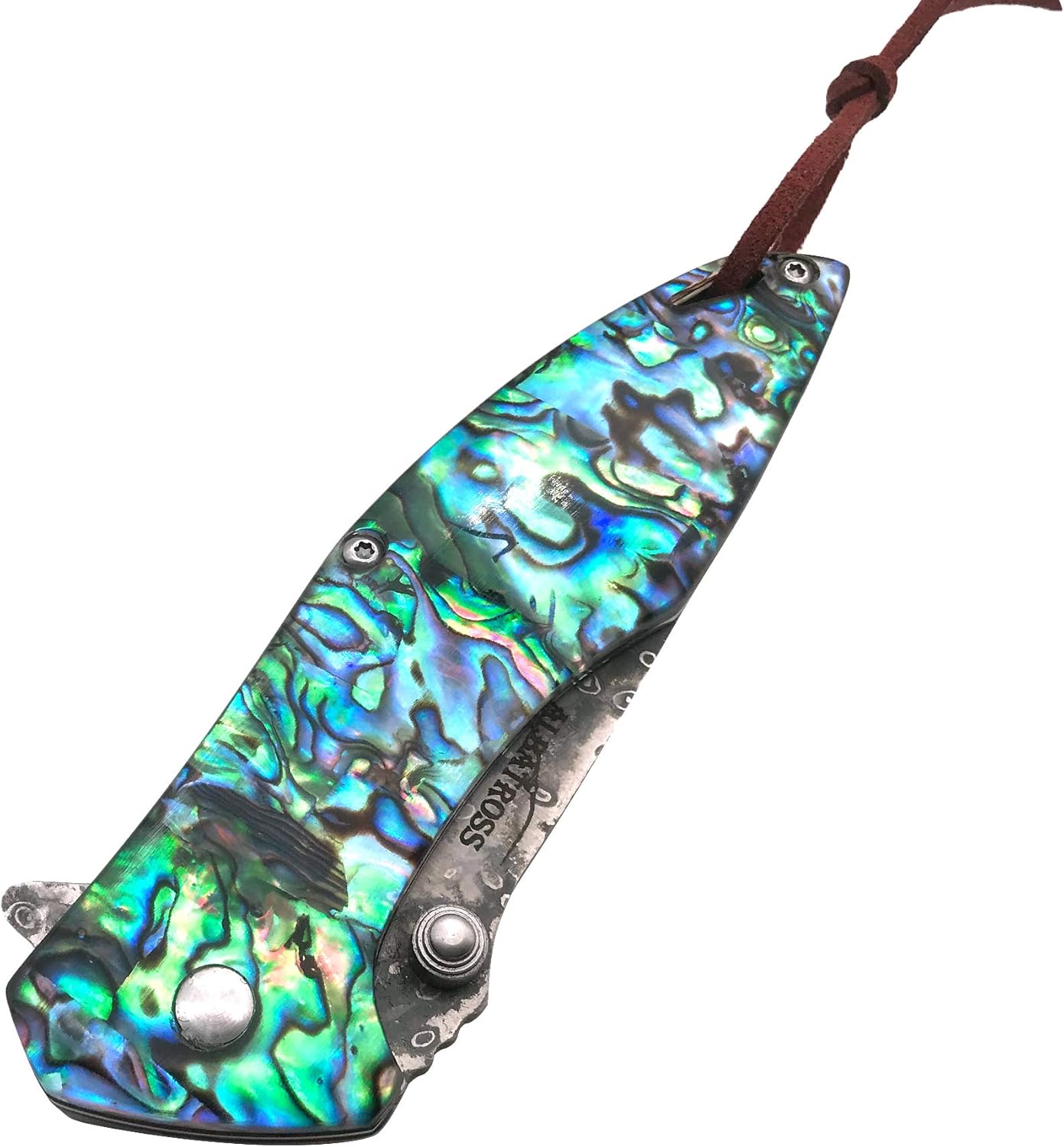 abalone seashell knife handle natural texture