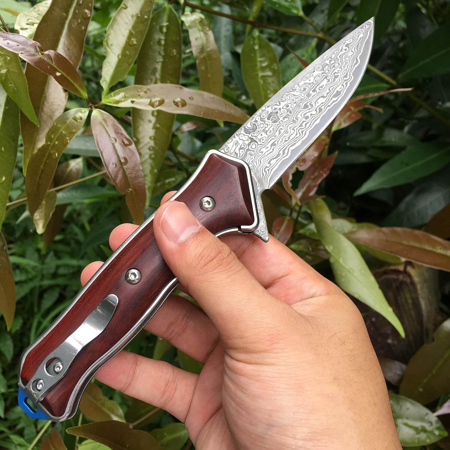 damascus pocket knife everyday carry outdoor use